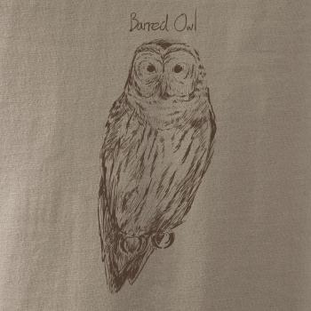 Sova pásikavá  Barred owl