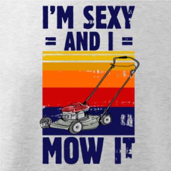 I'm sexy and i mow it I'm sexy and i mow it