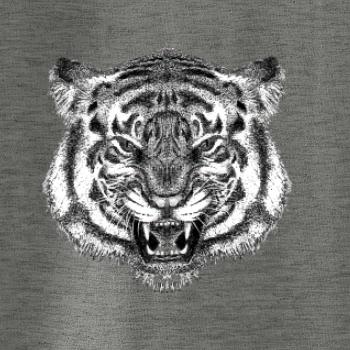 Tiger trošku naštvaný