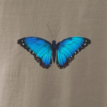 Motýľ Babôčka Morpho Peleides