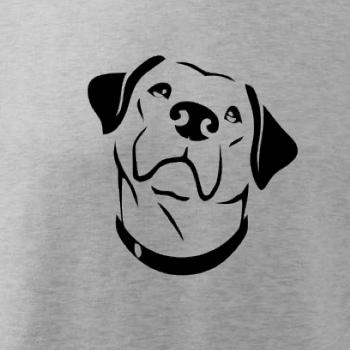 Labrador obrys