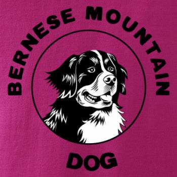 Bernese mountain dog v kruhu