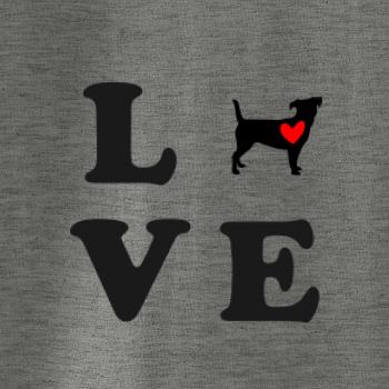 Jack russel terier love