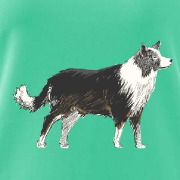 Border kólia kreslená Border kólia kreslená