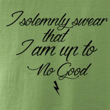 I solemnly swear that I'm up to no good