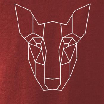 Americký Pit Bull Teriér - Geometria