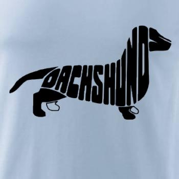 Jazvečík - Dachshund Jazvečík - Dachshund