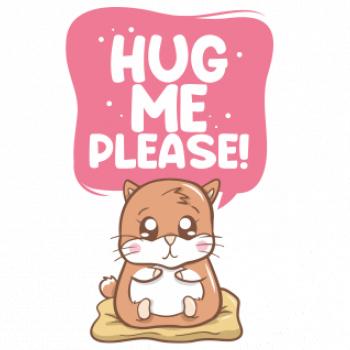 Morča - hug me please
