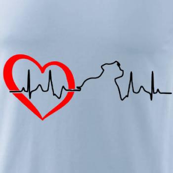 Stafordšírsky bulteriér  EKG Stafordšírsky bulteriér  EKG