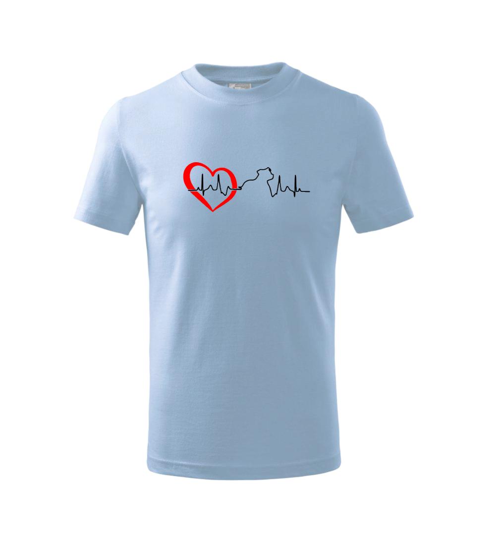 Stafordšírsky bulteriér ‎ EKG