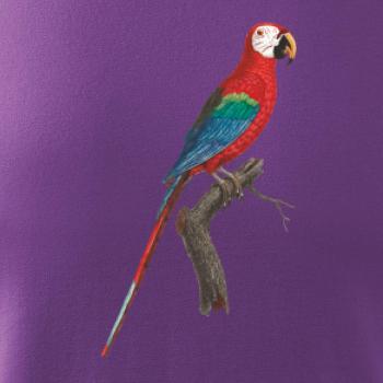 Papagáj červený na vetve