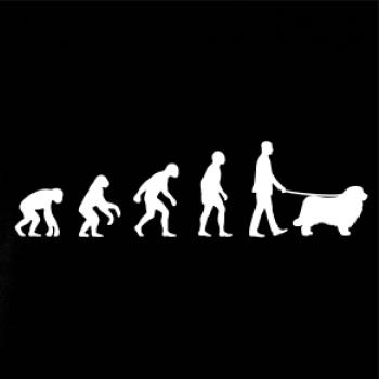 Evolúcia pes Novofundlandský pes (muž-žena)