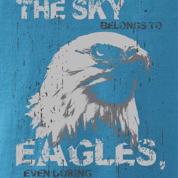 Eagle skystorm