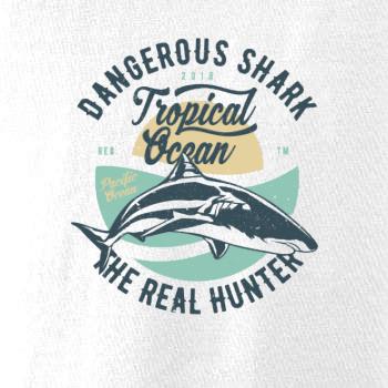 Dangerous Shark Dangerous Shark