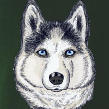 Husky hlava - kreslený