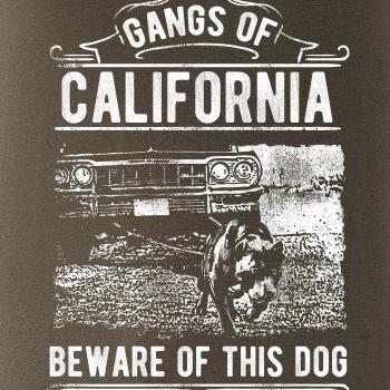Gangs Of California