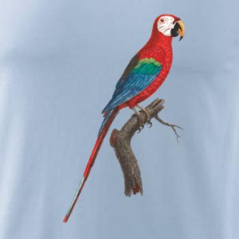 Papagáj červený na vetve