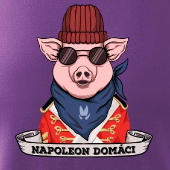 Napoleon domáci prasa