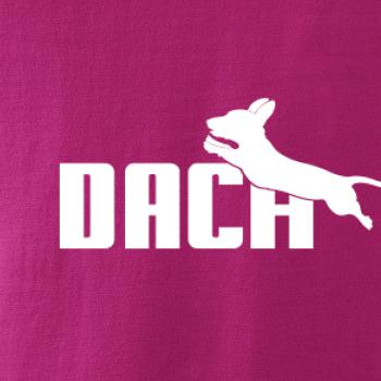 Jazvečík Dach Jazvečík Dach