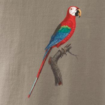 Papagáj červený na vetve