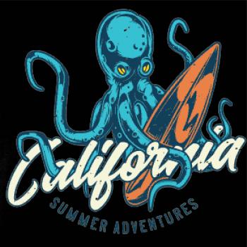 Summer adventures California