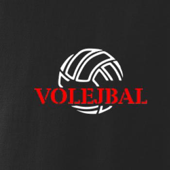 Volejbal lopta
