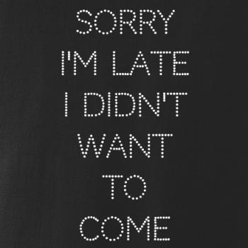 Sorry I am late i didn't want to come