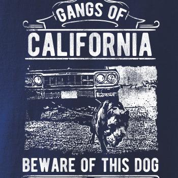 Gangs Of California