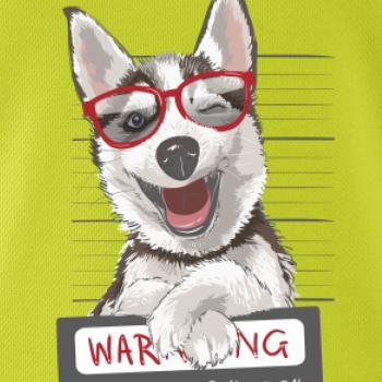 Husky - beware of dog