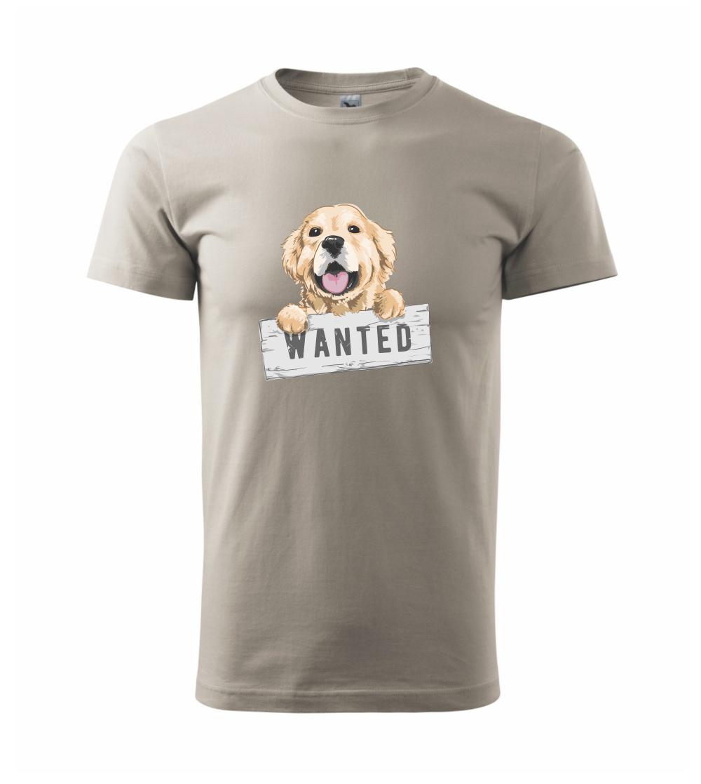 Zlatý retriever - šteniatko wanted Zlatý retriever - šteniatko wanted