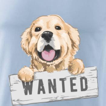 Zlatý retriever - šteniatko wanted