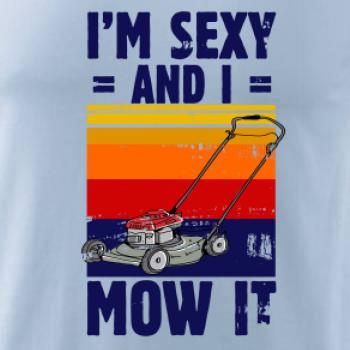 I'm sexy and i mow it