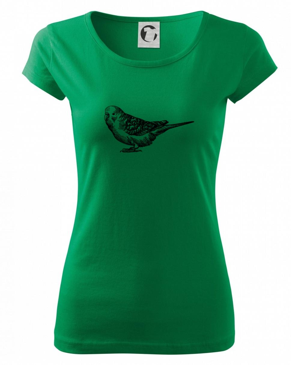 Ceruzkou kreslený Papagáj