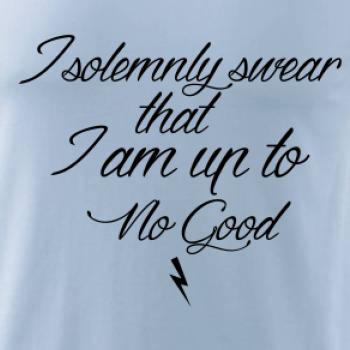 I solemnly swear that I'm up to no good