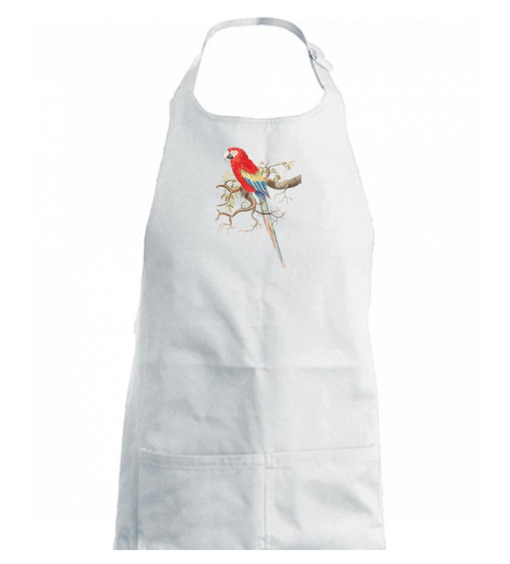 Papagáj  na listnatom strome Papagáj  na listnatom strome