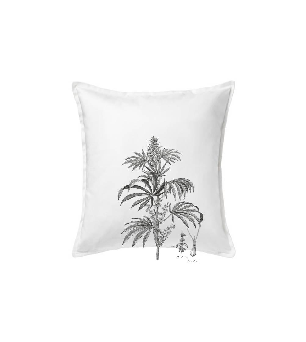 Konope kvietok čiernobiely   Konope kvietok čiernobiely