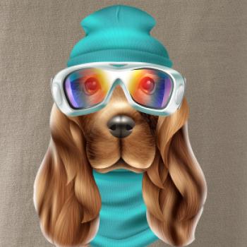 Jazvečík lyžiar   Jazvečík lyžiar