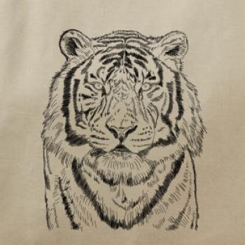 Tiger skica