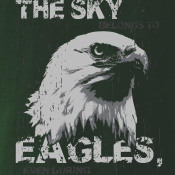 Eagle skystorm