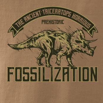Triceratops fossil Triceratops fossil