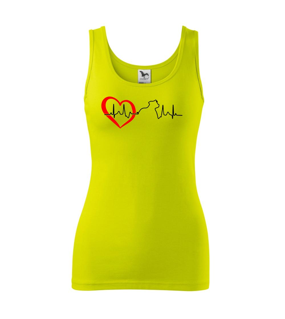 Stafordšírsky bulteriér  EKG Stafordšírsky bulteriér  EKG