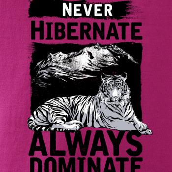 Never Hibernate Never Hibernate