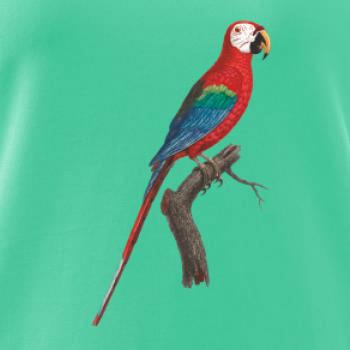 Papagáj červený na vetve