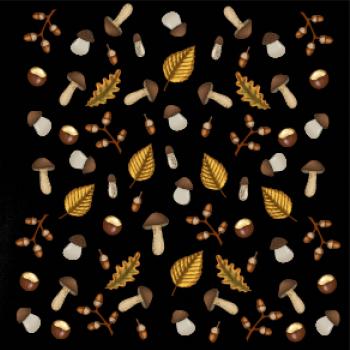 Huby na jeseň Huby na jeseň