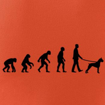 Evolúcia pes boxer (muž-žena)