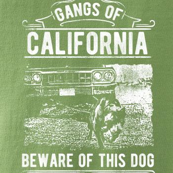 Gangs Of California