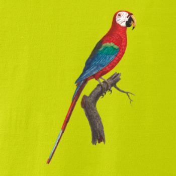 Papagáj červený na vetve