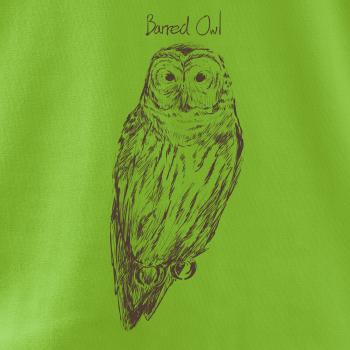 Sova pásikavá  Barred owl