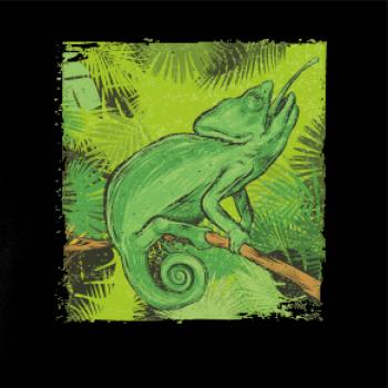Chameleon na vetve