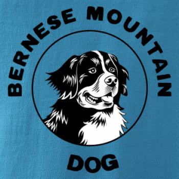 Bernese mountain dog v kruhu